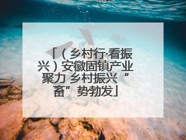 （乡村行·看振兴）安徽固镇产业聚力 乡村振兴“畜”势勃发
