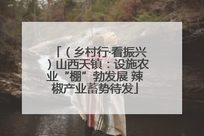 （乡村行·看振兴）山西天镇：设施农业“棚”勃发展 辣椒产业蓄势待发