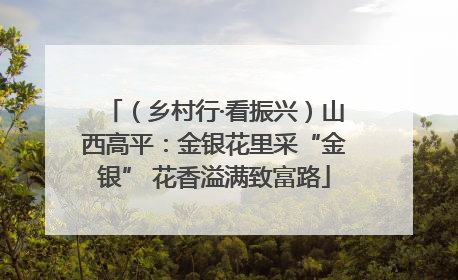 （乡村行·看振兴）山西高平：金银花里采“金银” 花香溢满致富路