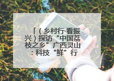 （乡村行·看振兴）探访“中国荔枝之乡”广西灵山：科技“鲜”行 实“荔”C位