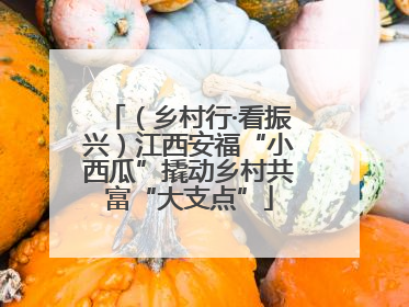 （乡村行·看振兴）江西安福“小西瓜”撬动乡村共富“大支点”