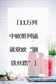 11万列中欧班列铺就亚欧“钢铁丝路”