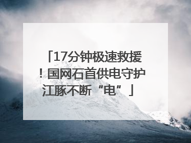 17分钟极速救援！国网石首供电守护江豚不断“电”