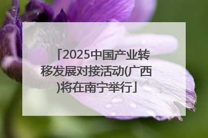 2025中国产业转移发展对接活动(广西)将在南宁举行