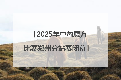 2025年中匈魔方比赛郑州分站赛闭幕