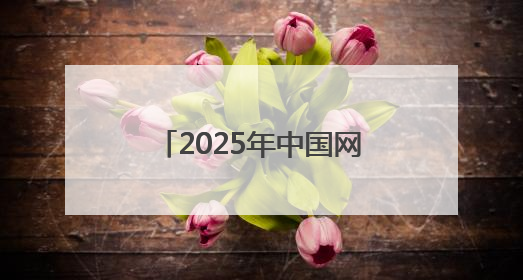 2025年中国网络文明大会｜董宇辉：合肥在记忆里很遥远也很亲切