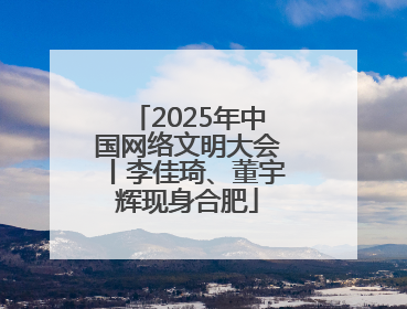 2025年中国网络文明大会丨李佳琦、董宇辉现身合肥