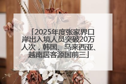 2025年度张家界口岸出入境人员突破20万人次，韩国、马来西亚、越南居客源国前三