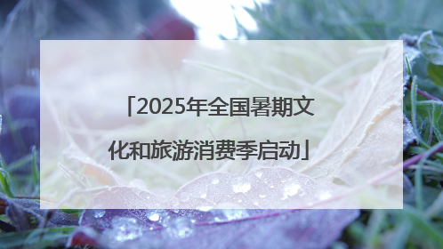 2025年全国暑期文化和旅游消费季启动