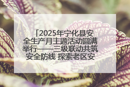 2025年宁化县安全生产月主题活动圆满举行——三级联动共筑安全防线 探索老区安全发展新路径