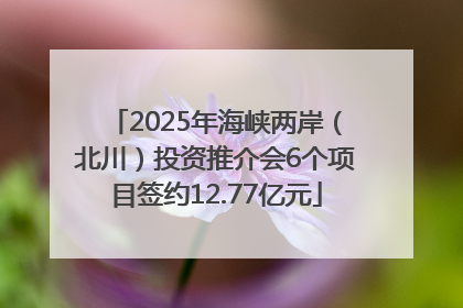 2025年海峡两岸（北川）投资推介会6个项目签约12.77亿元