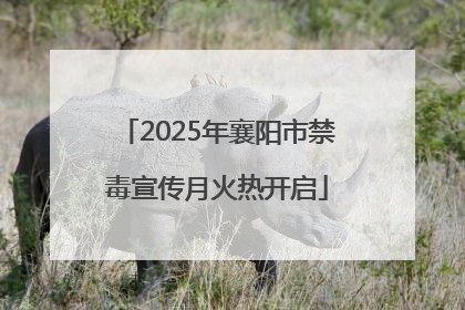 2025年襄阳市禁毒宣传月火热开启