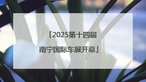 2025第十四届南宁国际车展开幕