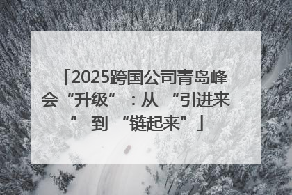 2025跨国公司青岛峰会“升级”：从 “引进来” 到 “链起来”