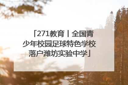 271教育丨全国青少年校园足球特色学校落户潍坊实验中学