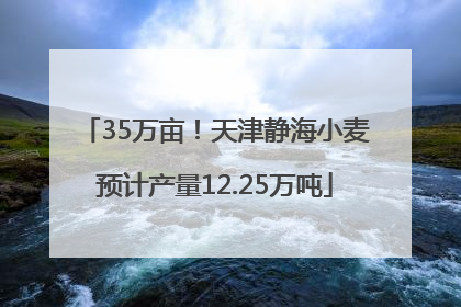 35万亩！天津静海小麦预计产量12.25万吨