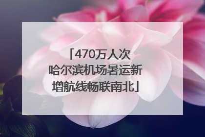 470万人次 哈尔滨机场暑运新增航线畅联南北