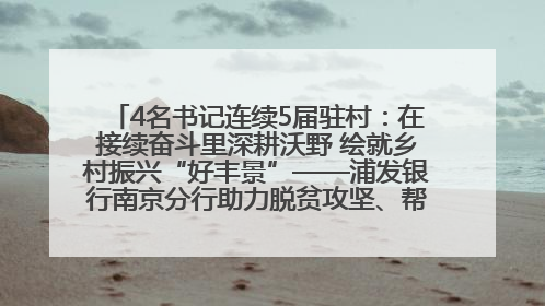 4名书记连续5届驻村：在接续奋斗里深耕沃野 绘就乡村振兴“好丰景”——浦发银行南京分行助力脱贫攻坚、帮促乡村振兴记事（二）