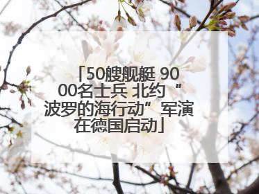 50艘舰艇 9000名士兵 北约“波罗的海行动”军演在德国启动