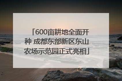 600亩耕地全面开种 成都东部新区东山农场示范园正式亮相