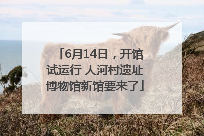 6月14日，开馆试运行 大河村遗址博物馆新馆要来了