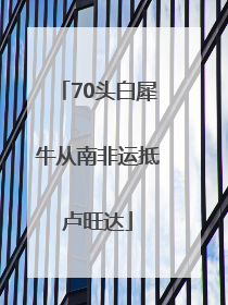 70头白犀牛从南非运抵卢旺达