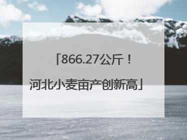 866.27公斤！河北小麦亩产创新高