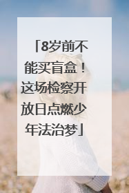 8岁前不能买盲盒！这场检察开放日点燃少年法治梦