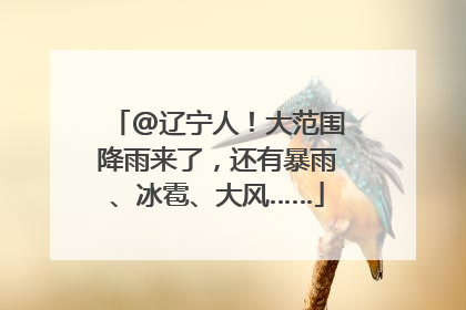 @辽宁人！大范围降雨来了，还有暴雨、冰雹、大风……