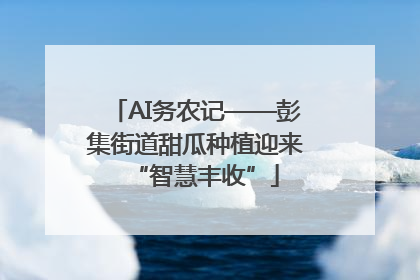 AI务农记——彭集街道甜瓜种植迎来“智慧丰收”