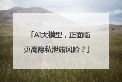 AI大模型，正面临更高隐私泄露风险？
