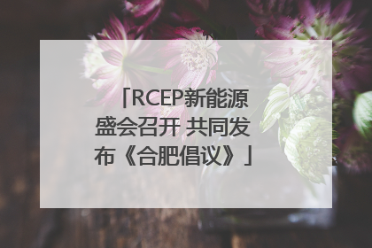 RCEP新能源盛会召开 共同发布《合肥倡议》
