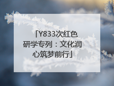 Y833次红色研学专列：文化润心筑梦前行
